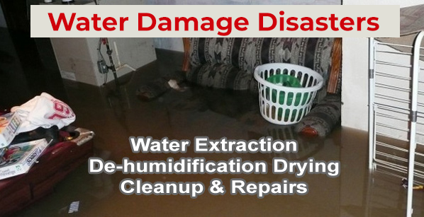 Tremonton, UT  water damage cleanup
